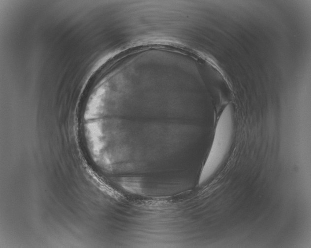 X0000080151024200701051534
