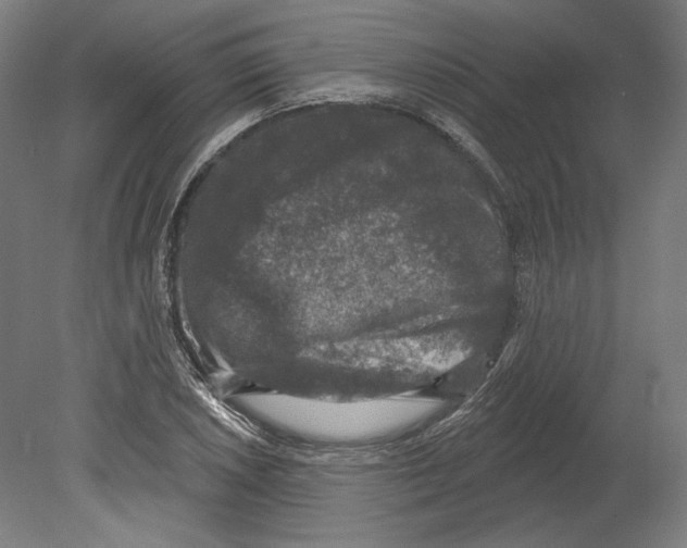 X0000080151026200701051534