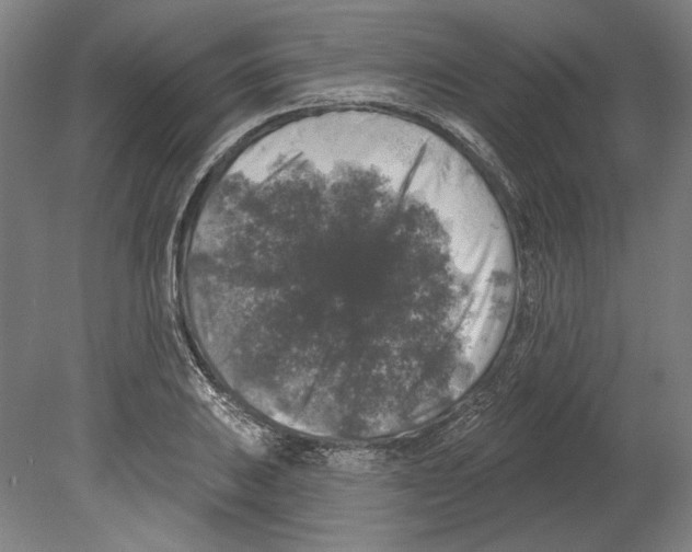 X0000080151031200701051534
