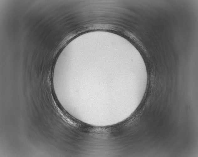 X0000080151033200701051534
