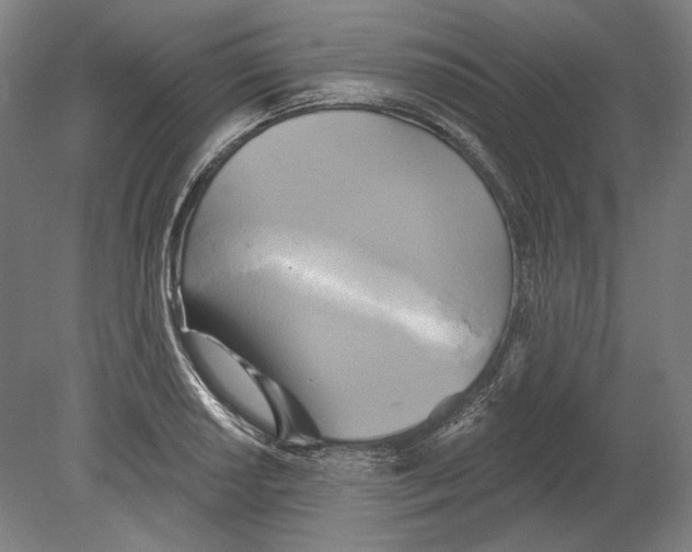 X0000080151034200701051534