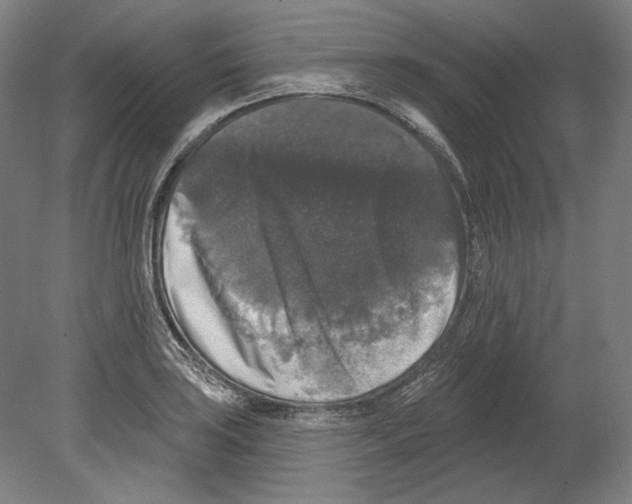 X0000080151035200701051534
