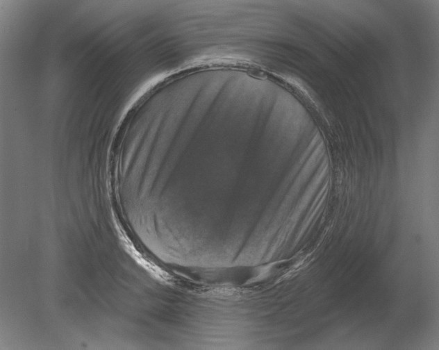 X0000080151038200701051534
