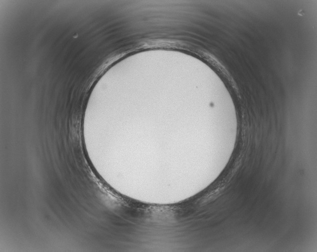 X0000080151041200701051534