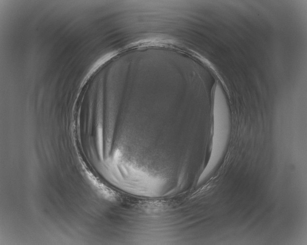 X0000080151042200701051534