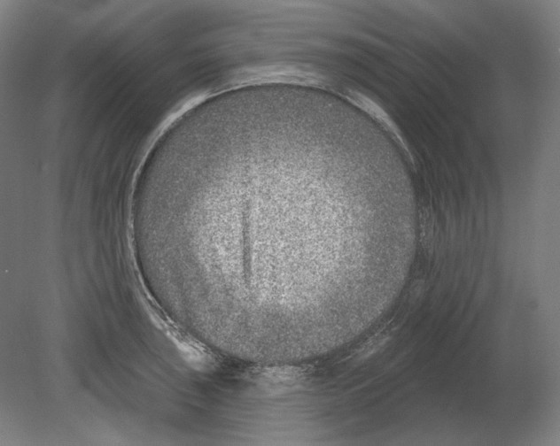 X0000080151043200701051534