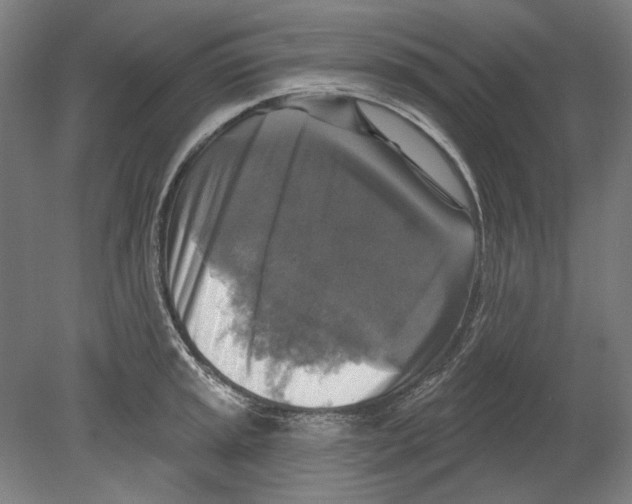X0000080151045200701051534