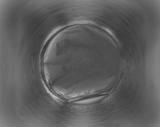 X0000080151046200701051534