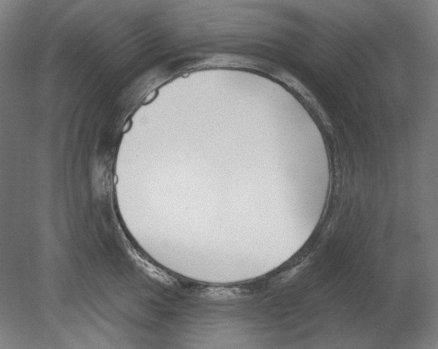 X0000080151049200701051534