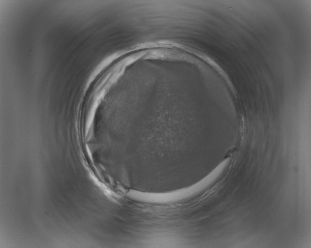 X0000080151054200701051534