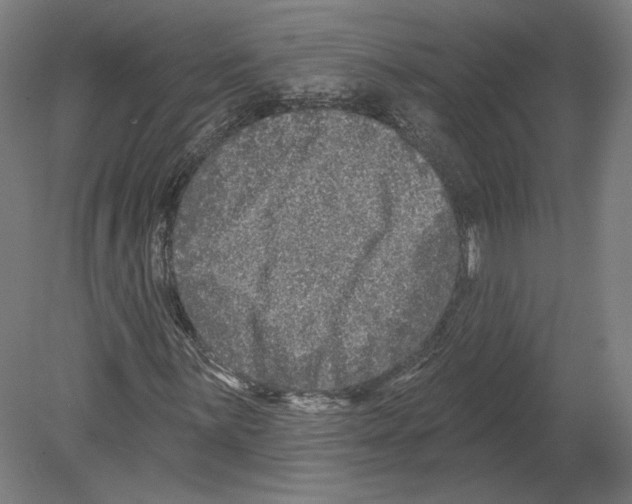 X0000080151059200701051534