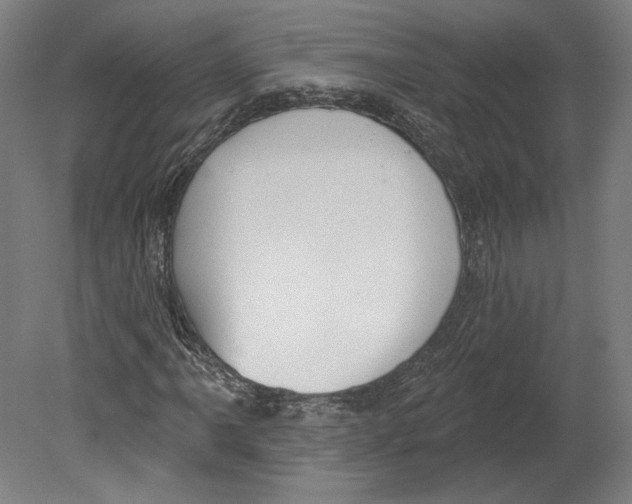 X0000080151061200701051533