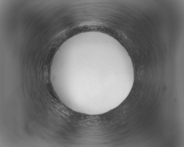 X0000080151062200701051533