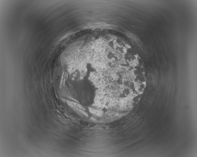 X0000080151063200701051533