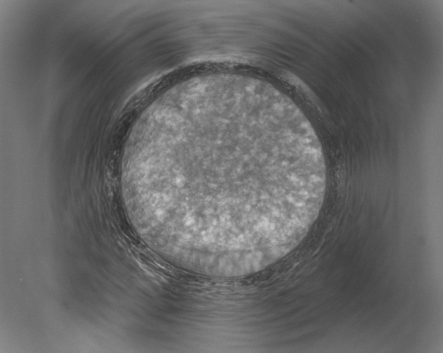X0000080151064200701051533