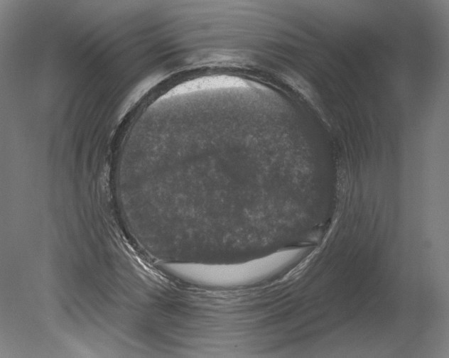 X0000080151066200701051533