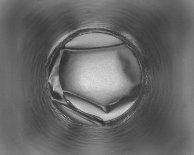 X0000080151069200701051533