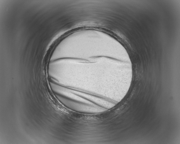 X0000080151070200701051533