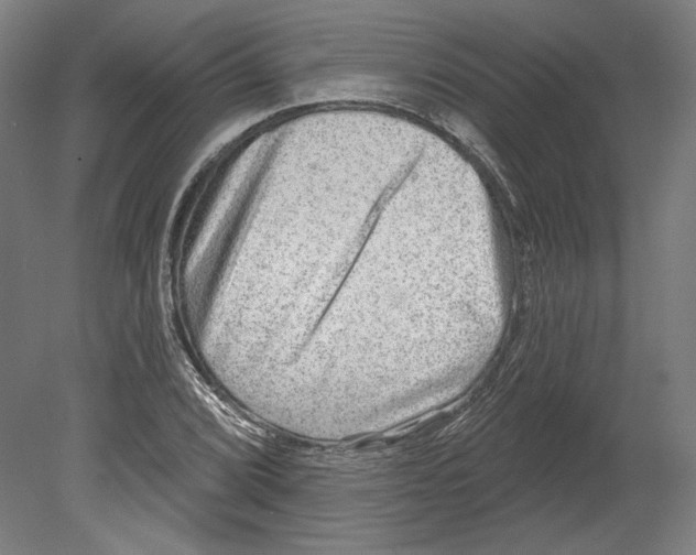 X0000080151072200701051533
