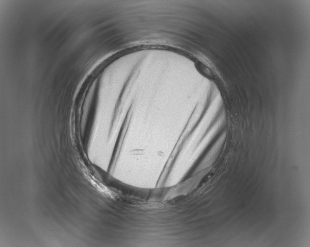 X0000080151076200701051533