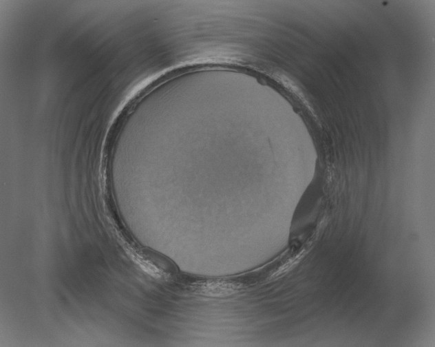 X0000080151077200701051533