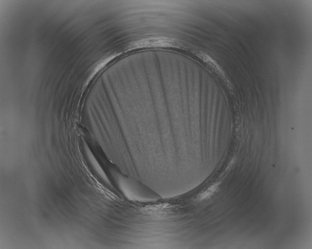 X0000080151081200701051533