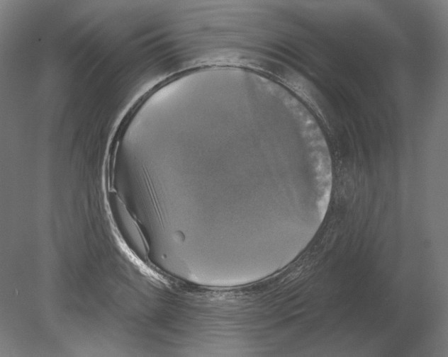 X0000080151084200701051533