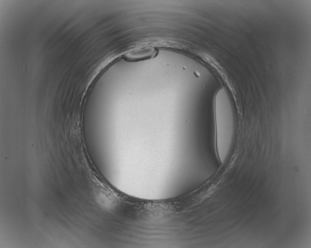 X0000080151089200701051533