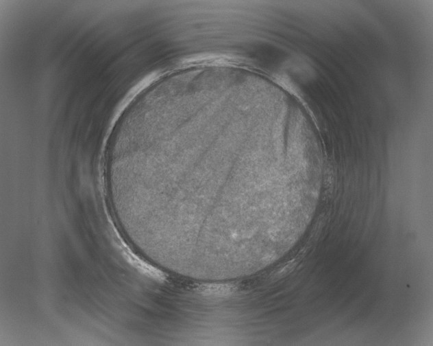 X0000080151090200701051533