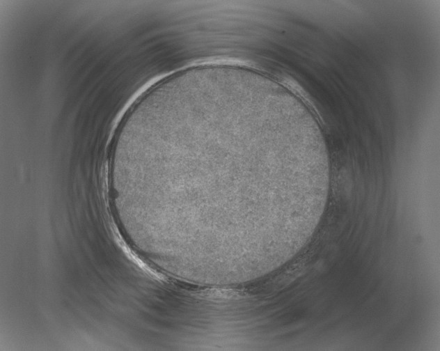 X0000080151092200701051533