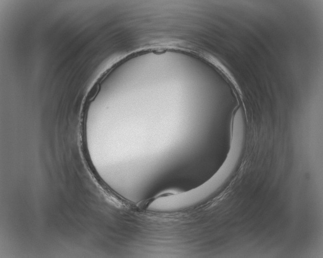 X0000080151093200701051533