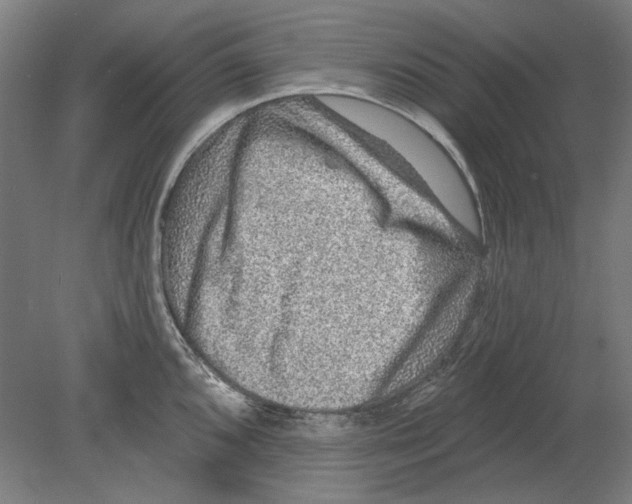 X0000080151096200701051533