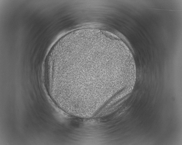 X0000080151099200701051533