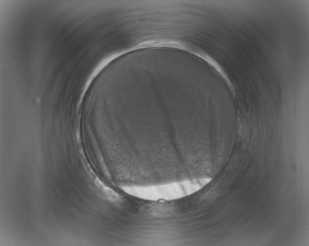 X0000080151102200701051533