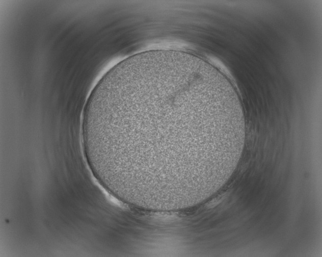 X0000080151103200701051533
