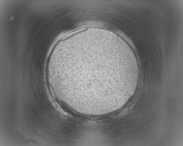 X0000080151104200701051533