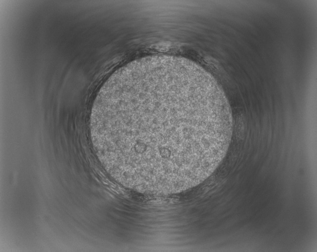 X0000080151105200701051532