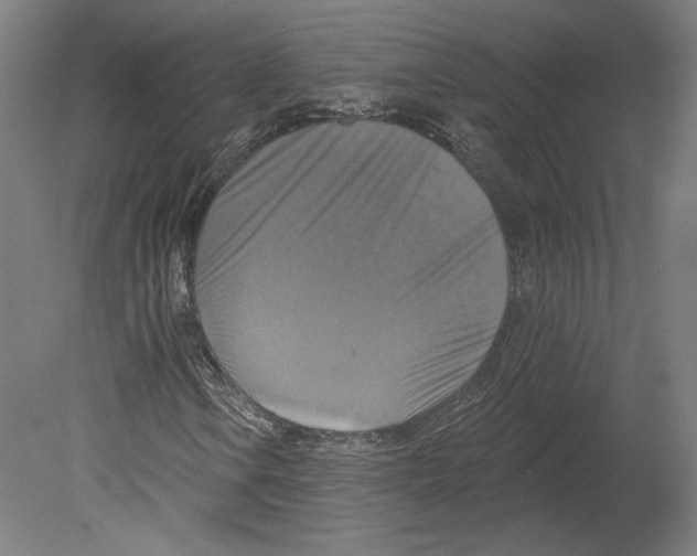 X0000080151106200701051532