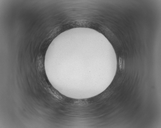 X0000080151107200701051532