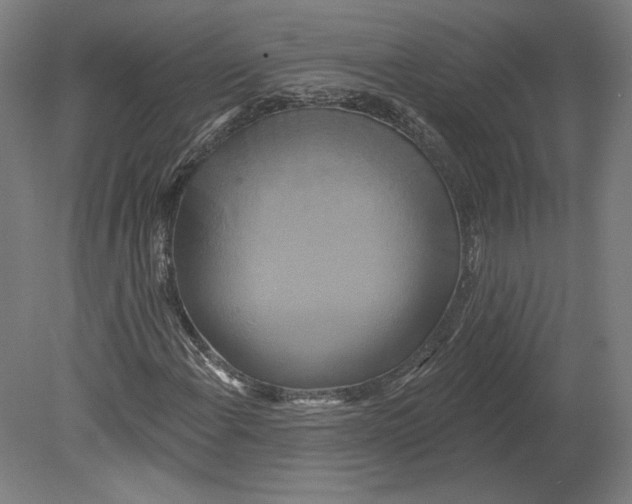 X0000080151108200701051532