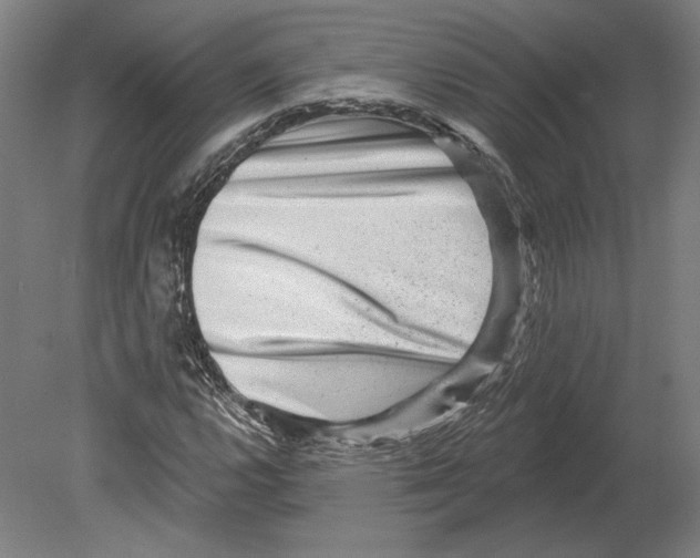 X0000080151112200701051532