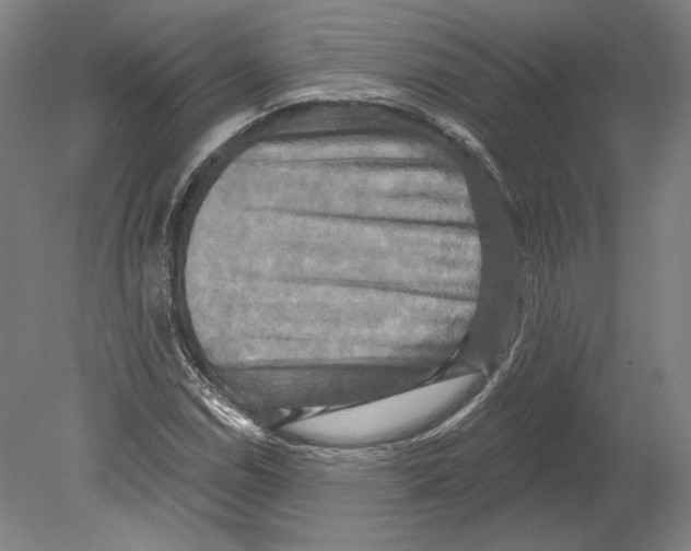 X0000080151114200701051532