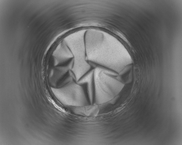 X0000080151116200701051532