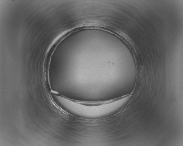 X0000080151120200701051532
