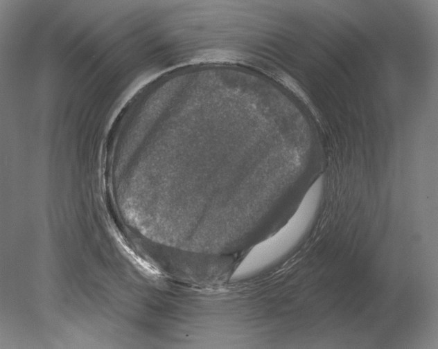 X0000080151124200701051532