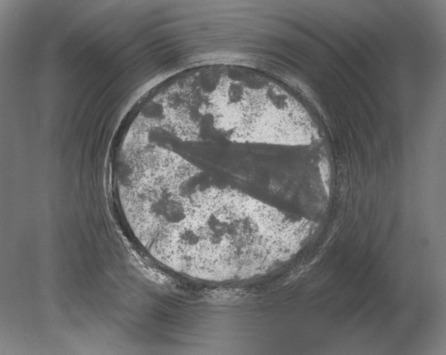 X0000080151125200701051532