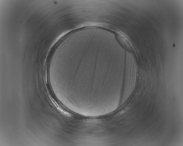 X0000080151127200701051532