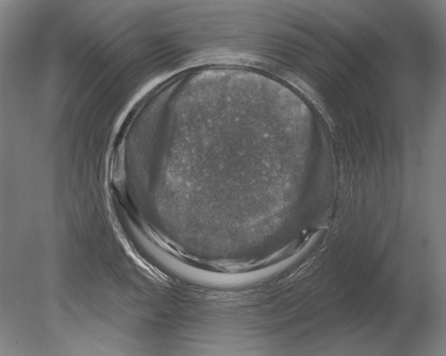 X0000080151128200701051532
