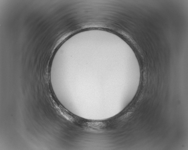 X0000080151129200701051532
