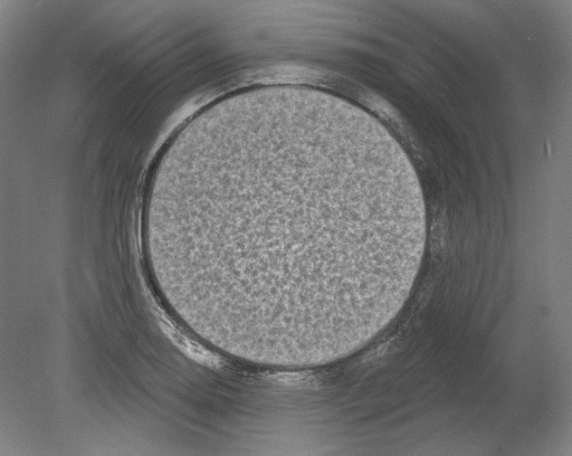 X0000080151130200701051532